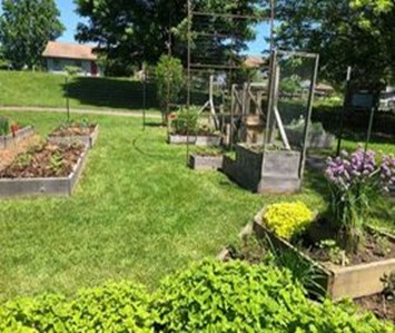 Master Gardeners offer in-person programming | News, Sports, Jobs - Vimarsana News